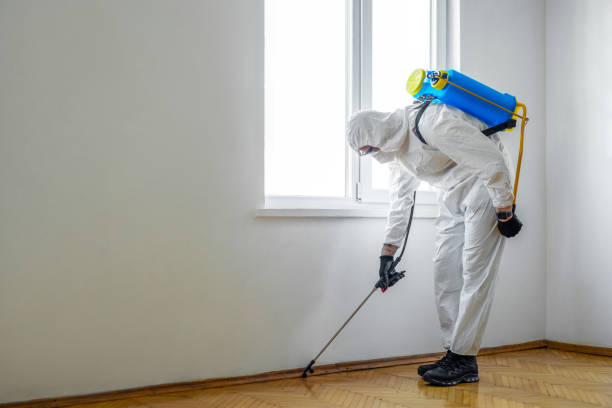Reliable Scott Af, IL Pest Control Solutions