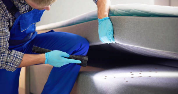 Best Best Pest Control Companies  in Scott Af, IL